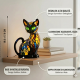 Feline Grazioso